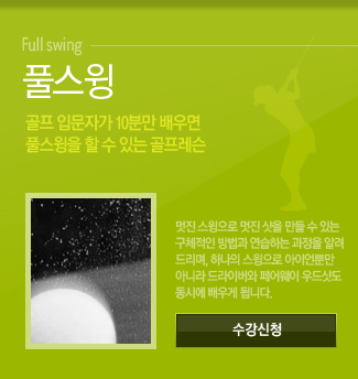 풀스윙
