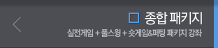 종합패키지