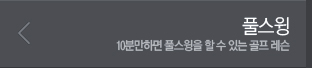 풀스윙